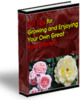 Thumbnail 101 Tips for Growing and Enjoying Your Own Great Rose Garden