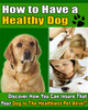 Thumbnail How To Have A Healthy Dog