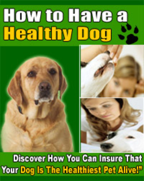 Product picture How To Have A Healthy Dog